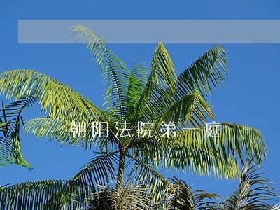 朝阳法院第一庭 朝阳法院第一庭
