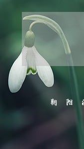 朝阳法院诉讼保全裁定书多久 朝阳法院诉讼保全裁定书多久