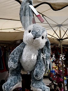 朝阳法院领取赔偿金流程 朝阳法院领取赔偿金流程