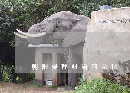 朝阳爱理财逾期兑付 朝阳爱理财逾期兑付