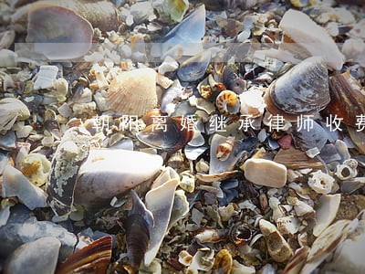 朝阳离婚继承律师收费 朝阳离婚继承律师收费