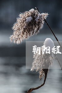 朝阳程子良最新消息 朝阳程子良最新消息