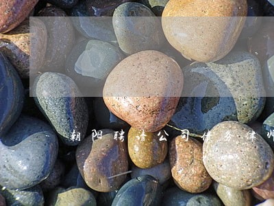 朝阳聘请公司债务律师 朝阳聘请公司债务律师