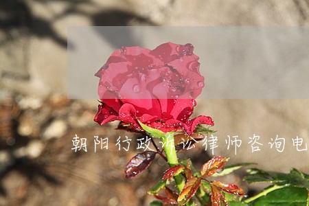 朝阳行政诉讼律师咨询电话
