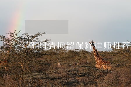朝阳请拘留保释律师推荐