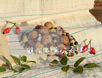 朝阳遗嘱公证律师一年多少钱 朝阳遗嘱公证律师一年多少钱