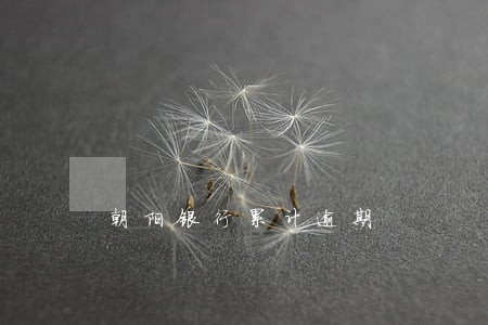 朝阳银行累计逾期 朝阳银行累计逾期
