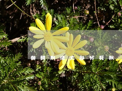 朝鲜刑法大部分死刑 朝鲜刑法大部分死刑