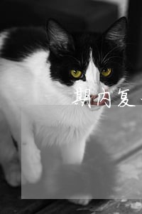 期内复利按逾期利息计算
