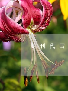 期刊代写违法吗 期刊代写违法吗