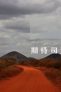 期待司法介入大白于天下 期待司法介入大白于天下