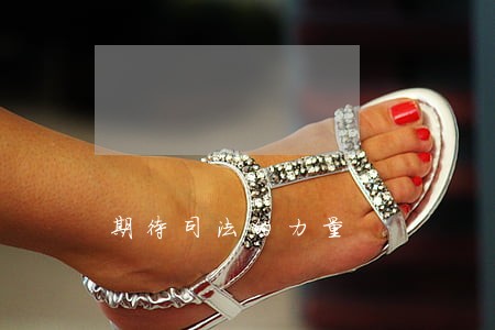 期待司法的力量 期待司法的力量
