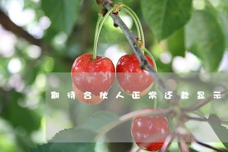 期待合伙人正常还款显示逾期 期待合伙人正常还款显示逾期