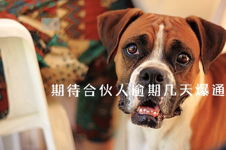期待合伙人逾期几天爆通讯录 期待合伙人逾期几天爆通讯录