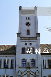 期待已扣款却有逾期 期待已扣款却有逾期