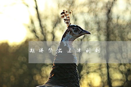 期待祭出法律利剑 期待祭出法律利剑