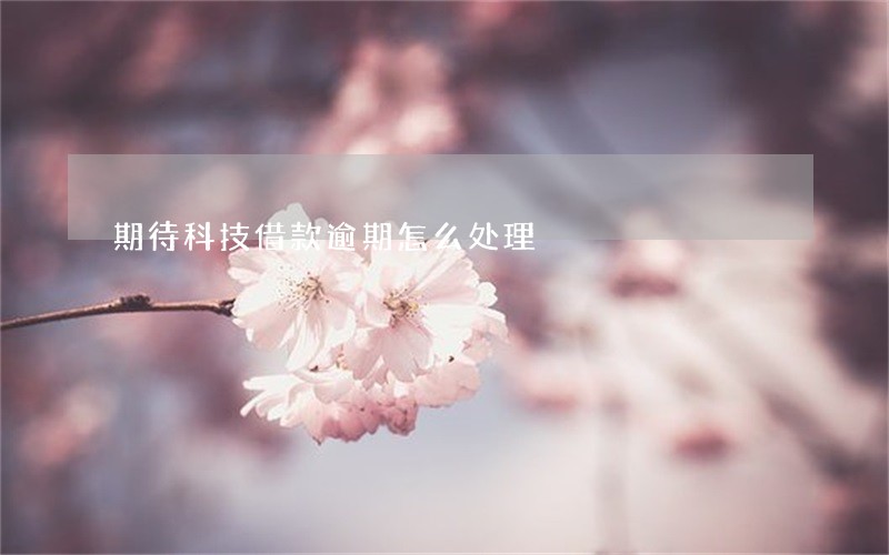 期待科技借款逾期怎么处理