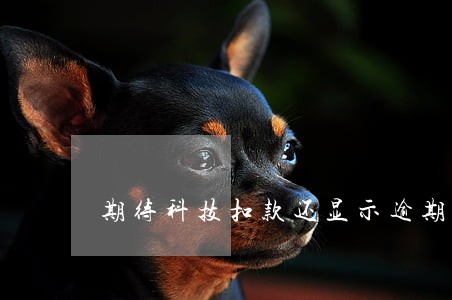 期待科技扣款还显示逾期 期待科技扣款还显示逾期