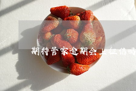 期待管家逾期会上征信吗 期待管家逾期会上征信吗