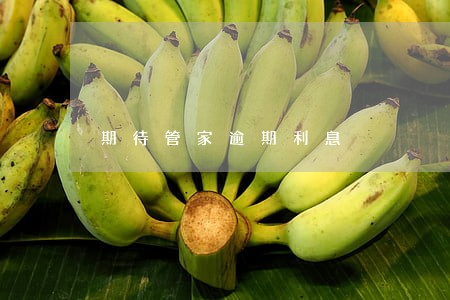 期待管家逾期利息 期待管家逾期利息