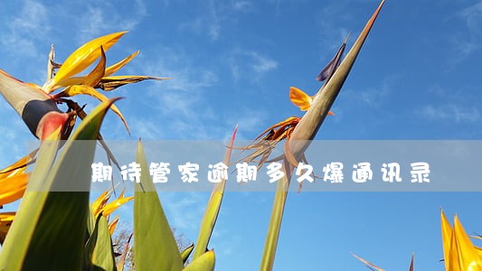 期待管家逾期多久爆通讯录 期待管家逾期多久爆通讯录
