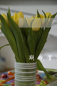 期待管家逾期群发短信 期待管家逾期群发短信