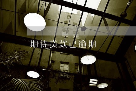期待贷款已逾期 期待贷款已逾期