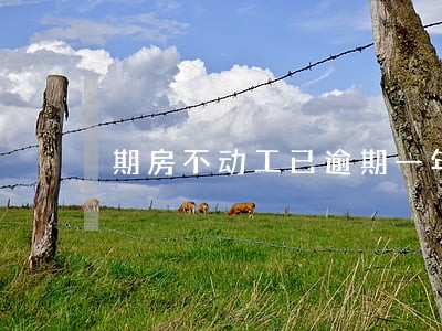 期房不动工已逾期一年怎么办 期房不动工已逾期一年怎么办