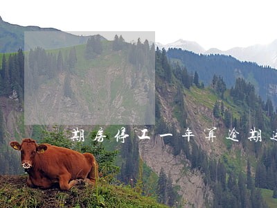 期房停工一年算逾期违约吗 期房停工一年算逾期违约吗