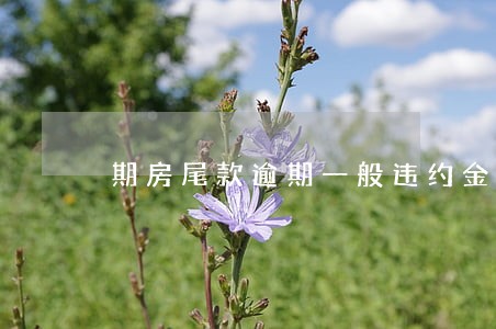期房尾款逾期一般违约金是多少 期房尾款逾期一般违约金是多少