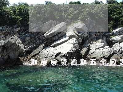 期房房贷逾期五个月怎么办 期房房贷逾期五个月怎么办