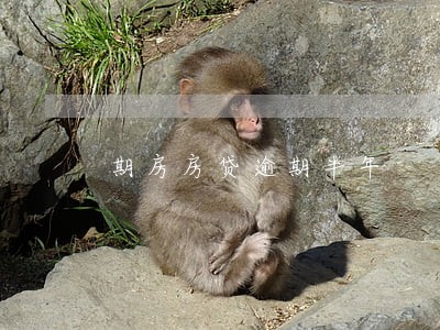 期房房贷逾期半年