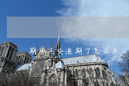 期房还贷逾期了怎么办
