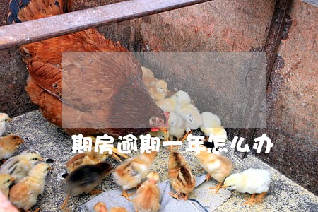 期房逾期一年怎么办