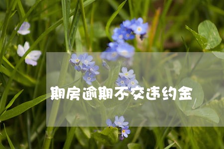 期房逾期不交违约金