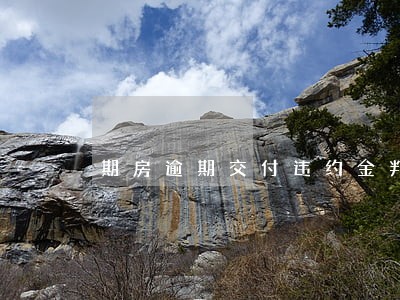 期房逾期交付违约金判决 期房逾期交付违约金判决