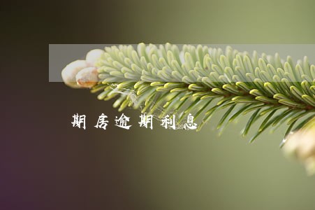 期房逾期利息