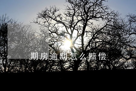期房逾期怎么赔偿 期房逾期怎么赔偿