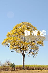 期房逾期拒赔违约金 期房逾期拒赔违约金