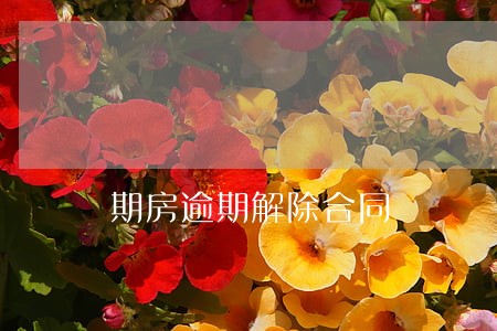 期房逾期解除合同