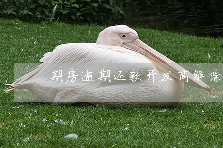 期房逾期还款开发商解除合同 期房逾期还款开发商解除合同