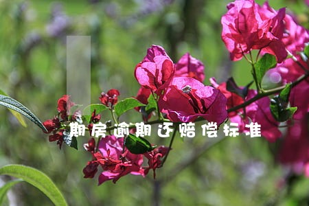 期房逾期还赔偿标准
