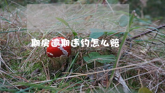 期房逾期违约怎么赔