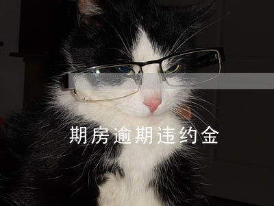 期房逾期违约金