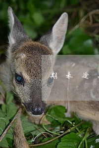期未逾期账款怎么计算 期未逾期账款怎么计算