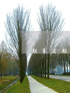 期末逾期贷款余额是什么 期末逾期贷款余额是什么