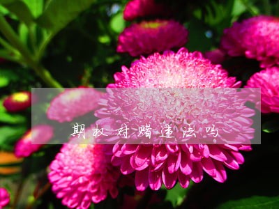 期权对赌违法吗