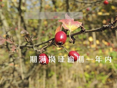期满换证逾期一年内