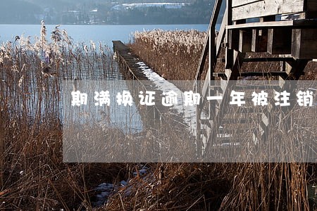 期满换证逾期一年被注销