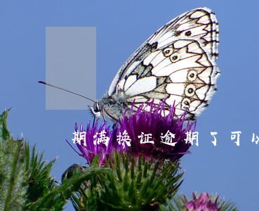 期满换证逾期了可以异地办理吗 期满换证逾期了可以异地办理吗